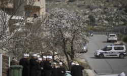 وفد درزي سوري يتوجه إلى إسرائيل